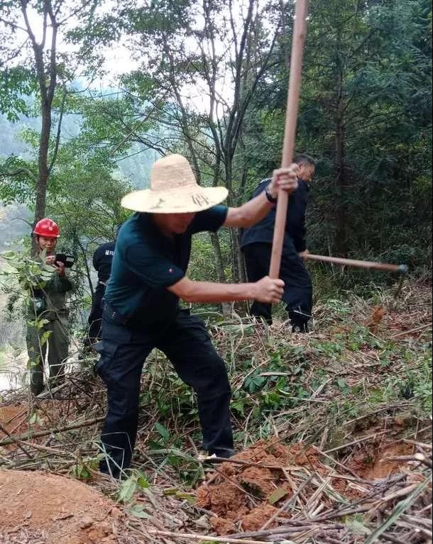 干好每一天|青山掛白我復綠，無私奉獻金森人——資源保護部義務突擊隊工作記實