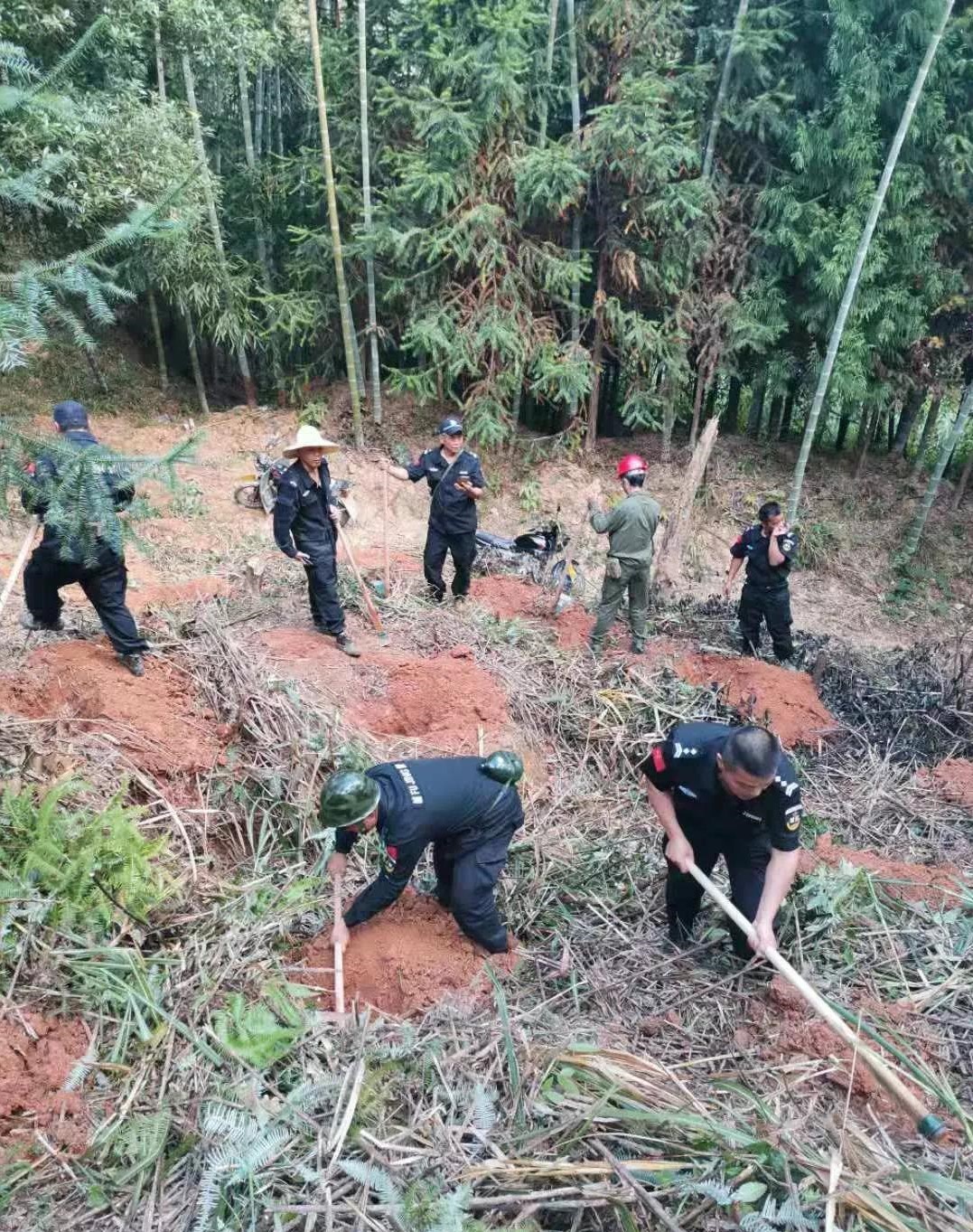 干好每一天|青山掛白我復綠，無私奉獻金森人——資源保護部義務突擊隊工作記實