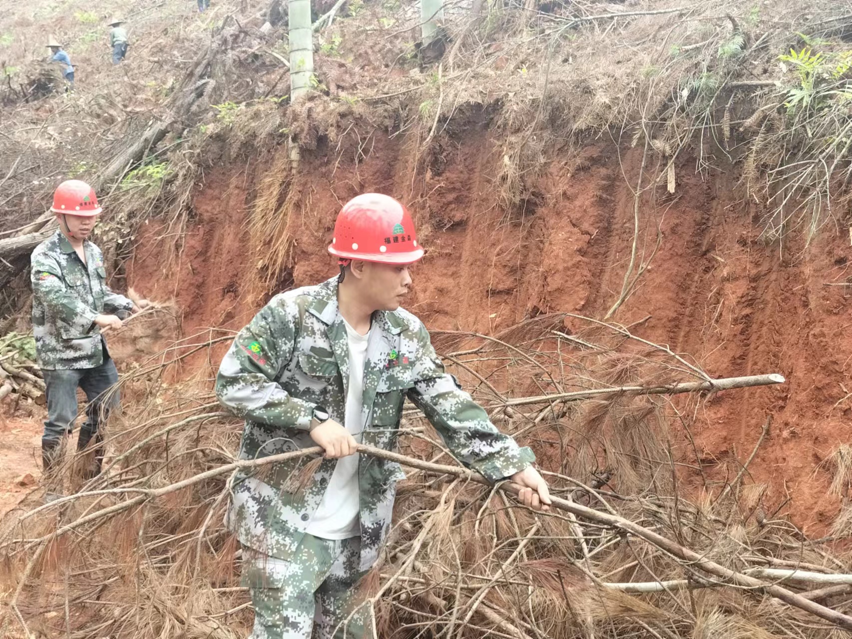  “百日鏖戰(zhàn)” 齊心協(xié)力譜寫產銷新篇 ----福建金森木材產銷百日攻堅行動